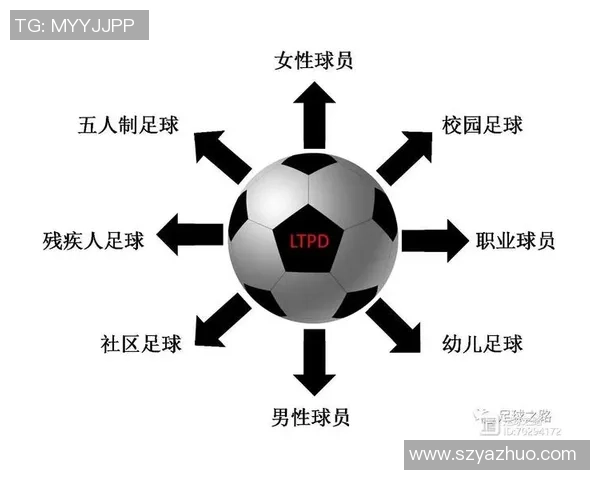 足球明星因伤残获得的赔偿金额及相关法律解析详解